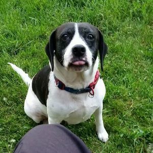 Meet your Posher, Sarah devoye